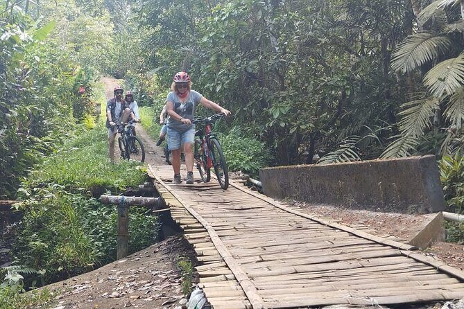 Experience Cycling Tour to Bali UNESCO Heritage Site in Jatiluwih - The Itinerary in Detail