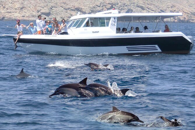 Experience Dolphin watching and snorkeling in Muscat - Experience Dolphin Watching and Snorkeling in Muscat