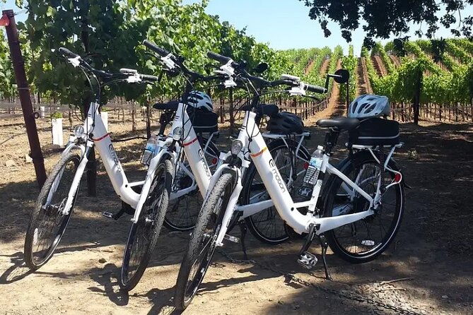 experience-e-bike-with-wine-tasting-activity