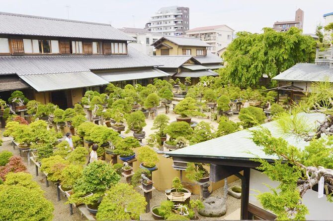 Experience Edo Tokyo Walking Tour - Exploring the Itinerary: What You Can Expect