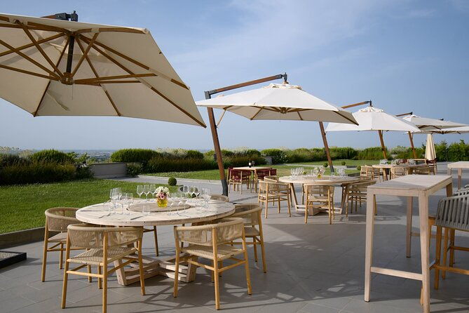 experience-emilian-wines-at-bologna-vineyard-vista