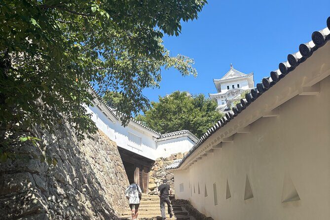 Experience Himeji Castle with a Local University Student Guide - Key Points