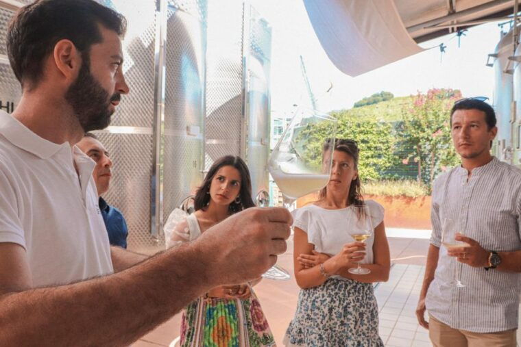 experience-in-valdobbiadene-winery-tour-wine-tasting