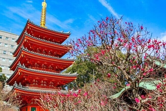 Experience Japan Spirit in Hakata Temple Town - Key Points
