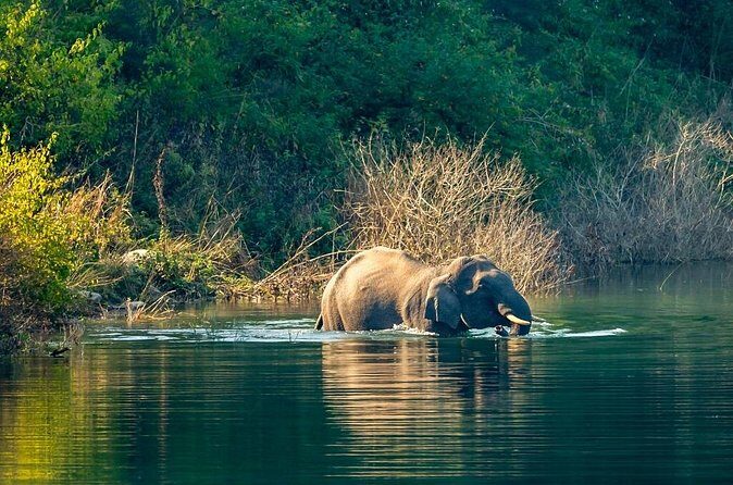 Experience Jungle Nights: Stay in Jim Corbett National Park's FRH - FAQ