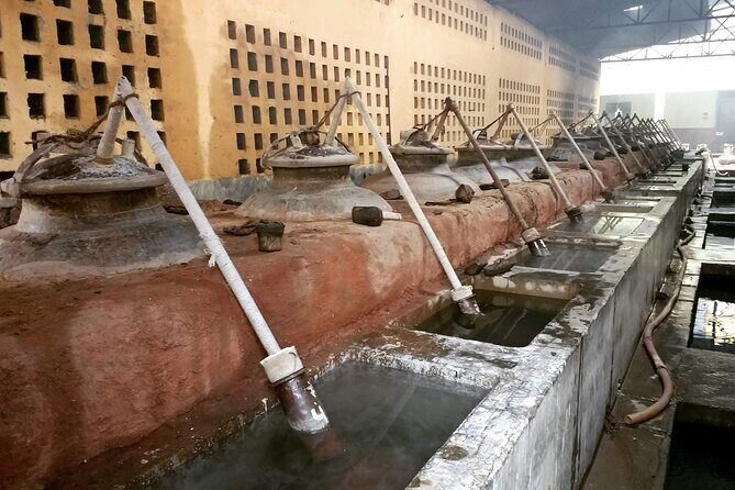 Experience Kannauj the perfume capital from Agra in Private Car - Insights from Reviews