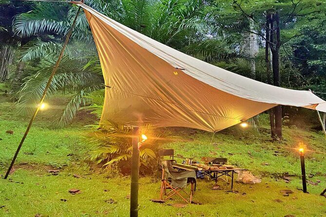 Experience Khao Sok Jungle Escape Half Day Half Night - Key Points