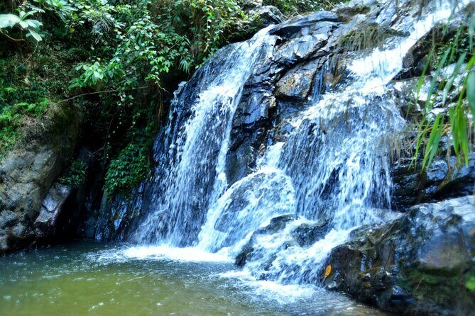 Experience Khao Sok Jungle Escape Half Day Half Night - What Sets This Tour Apart?
