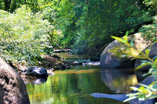 Experience Khao Sok Jungle Escape Half Day Half Night - Who Would Love This Tour?