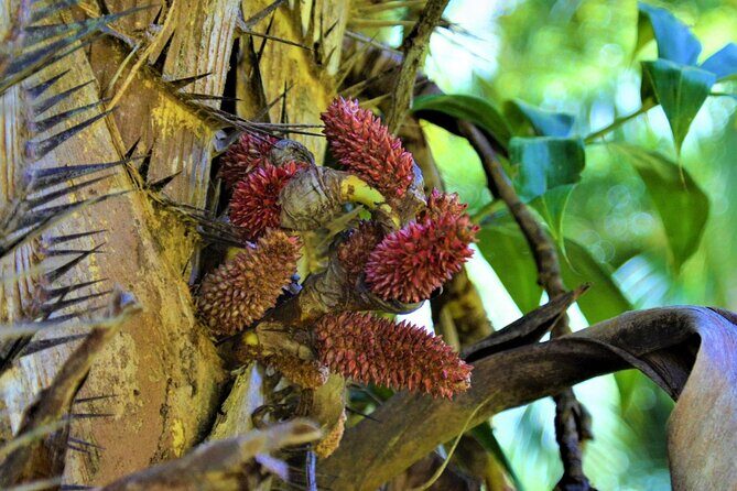 Experience Khao Sok Jungle Escape Half Day Half Night - FAQ