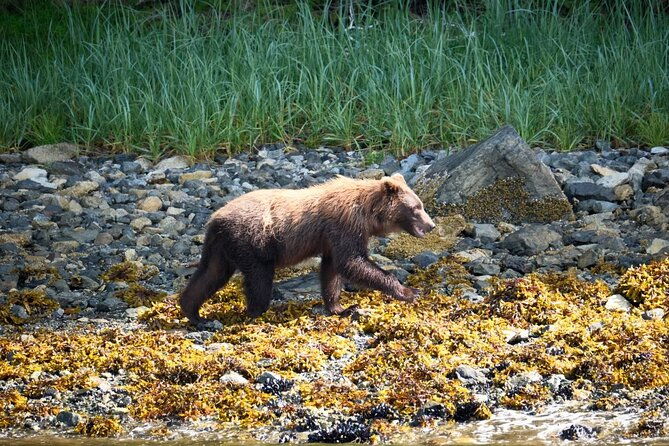 experience-local-marine-wildlife-tour