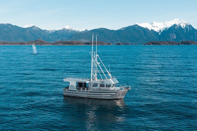 experience-local-marine-wildlife-tour