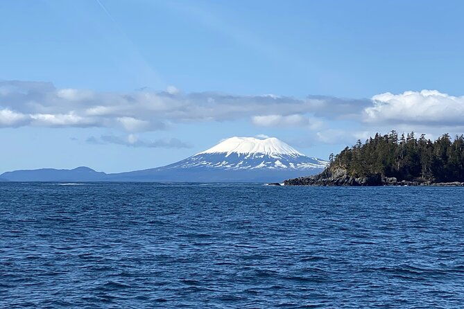 experience-local-marine-wildlife-tour