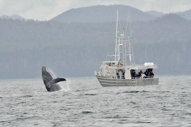 experience-local-marine-wildlife-tour