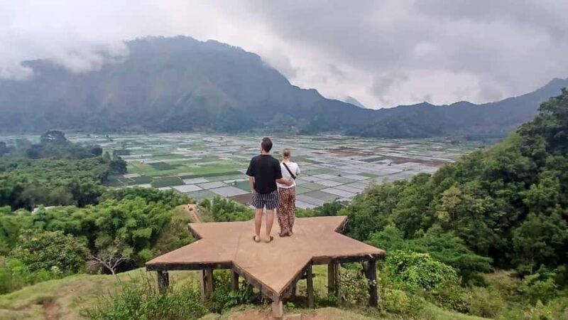Experience Lombok 2 Days Sunrise Trek Pergasingan Hill Camp - Analyzing the Value