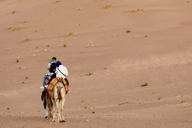 Experience Luxury in Zagora: 2-Day Desert Adventure - Summary of the Experience
