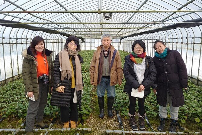 experience-making-okura-wasabi-and-wasabi-soy-sauce