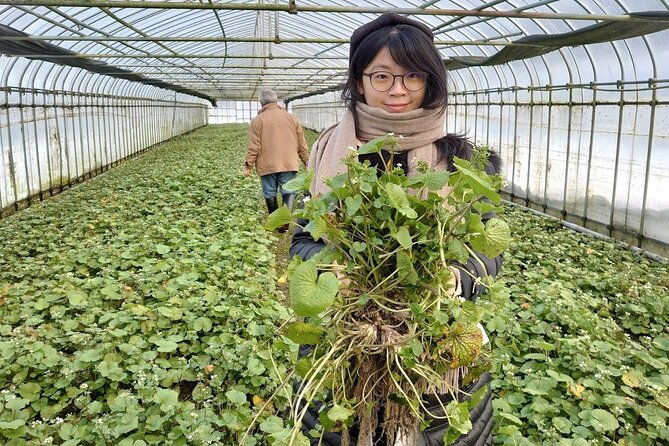 experience-making-okura-wasabi-and-wasabi-soy-sauce
