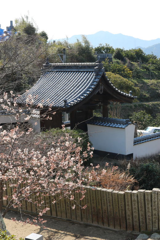 experience-meditation-at-shounji-temple-takehara-tadanoumi