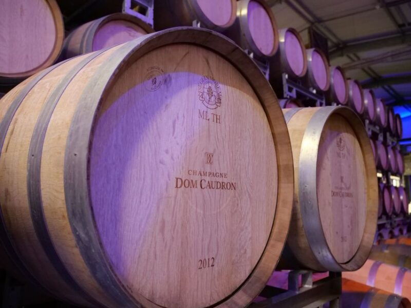 Expérience Meunier -Tour en français -Champagne Passy-Grigny - Key Points