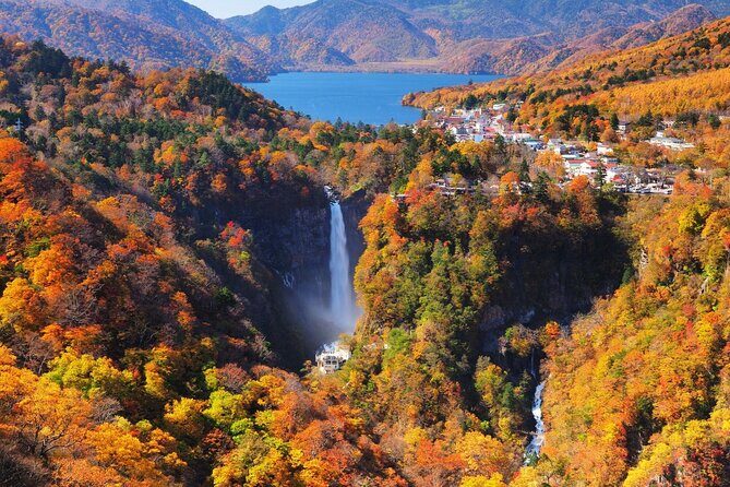 Experience Nature and Culture Private Day Tour in Nikko - In-Depth Tour Review