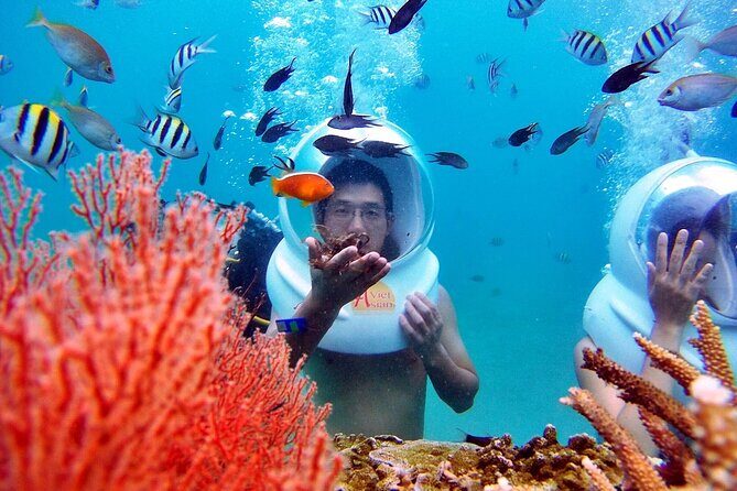 Experience Nha Trang Sea Walk and Traditional Seafood Cuisine - Key Points