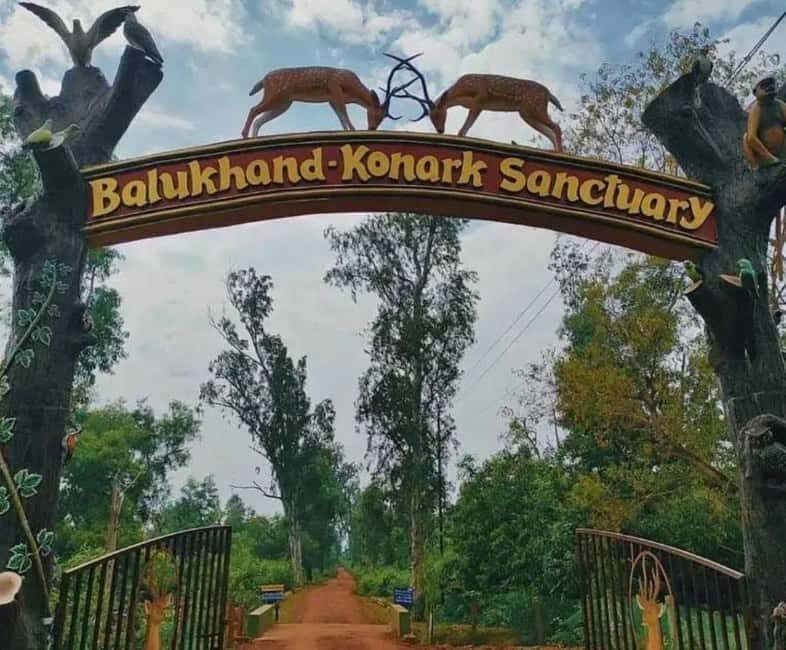 Experience Odishas Gems: Puri and Konark in 2 Days - Who Should Consider This Tour?