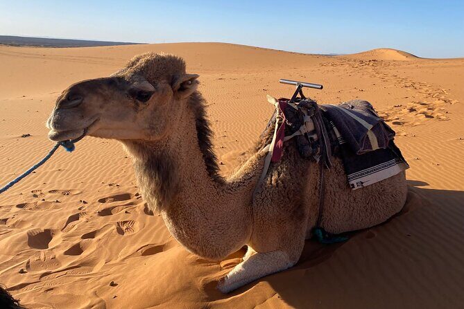 Experience of the desert of Zagora in 2 days - Sunrise in the Dunes: A Magical Moment
