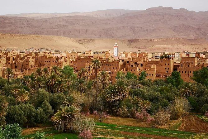 Experience of the desert of Zagora in 2 days - Arrival Back in Marrakech