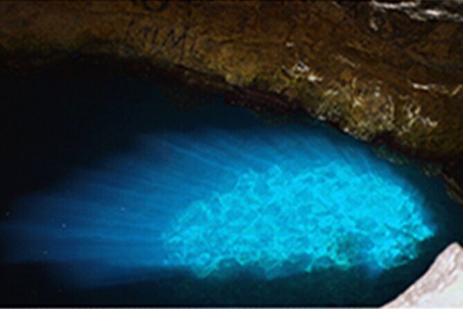 Experience on Sal Island with native and certified guide (including sharks) - Final Words