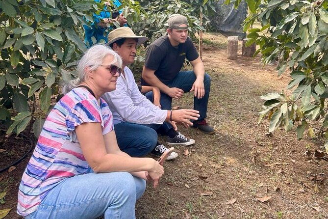 experience-organic-coffee-avocados-honey-more