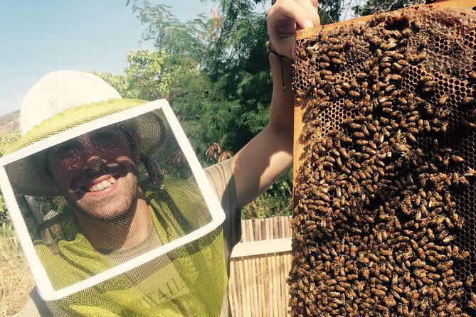 Experience Our Honey Farm And Beekeeping Tour - Why This Tour Is a Great Choice