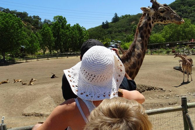 experience-our-redwoods-and-wild-safari-outdoor-adventure