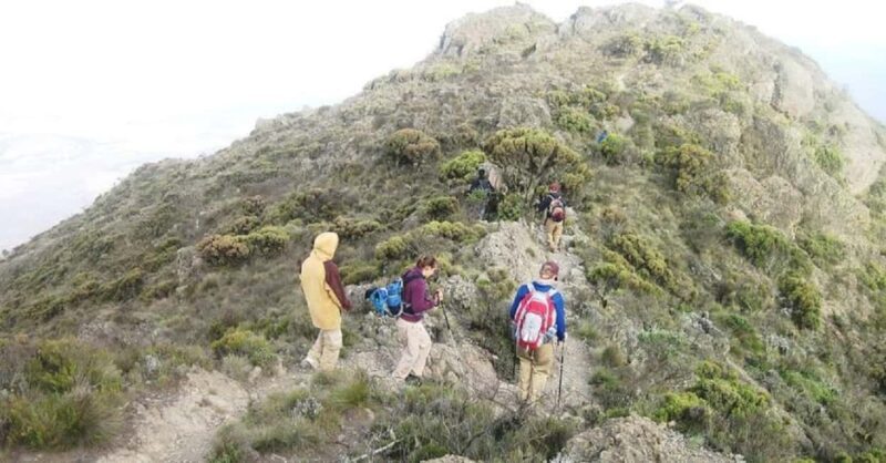 Experience Our Top Best Kilimanjaro Day Hiking Machame Route - Key Points