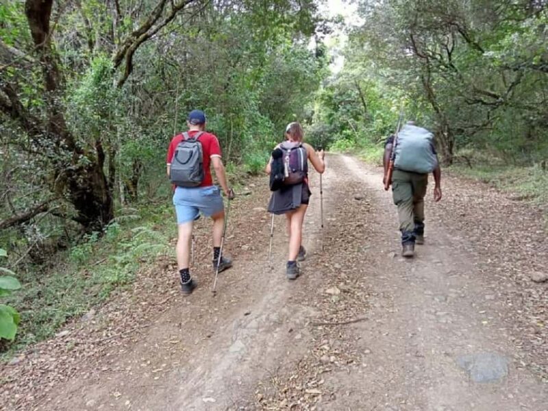 Experience Our Top Best Kilimanjaro Day Hiking Machame Route - Detailed Breakdown of the Itinerary