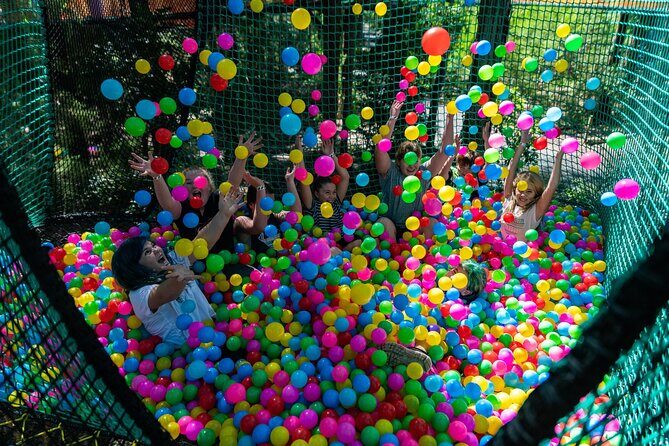 Experience Ourimbah State Forest Networld Adventure - What Is the Ourimbah State Forest Networld Adventure?