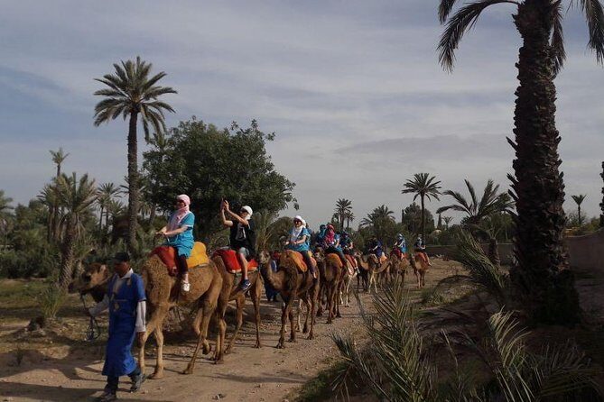 Experience Private Camel Ride - Key Points