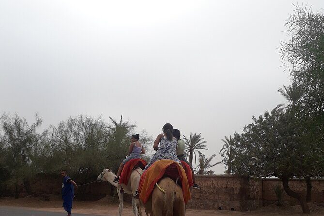 Experience Private Camel Ride - Transportation and Group Size: Why It Matters