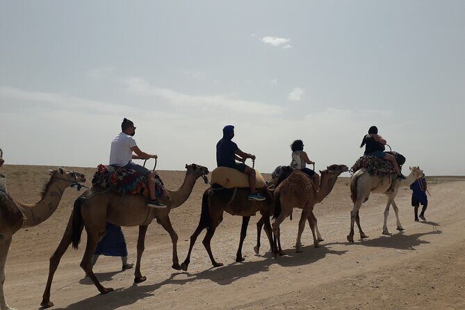Experience Private Camel Ride - FAQs