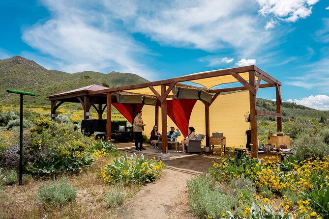 experience-raptors-and-falconry-in-reno