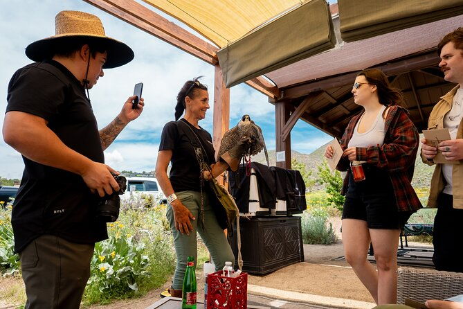 experience-raptors-and-falconry-in-reno