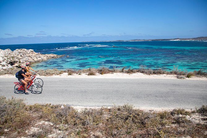 Experience Rottnest with Ferry & Bike Hire - An In-Depth Look at the Tour Experience