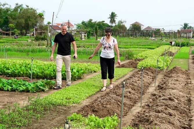 Experience Rural Life Cooking Class In Tra Que Vegetable Farm - Practical Details: Making the Most of Your Experience