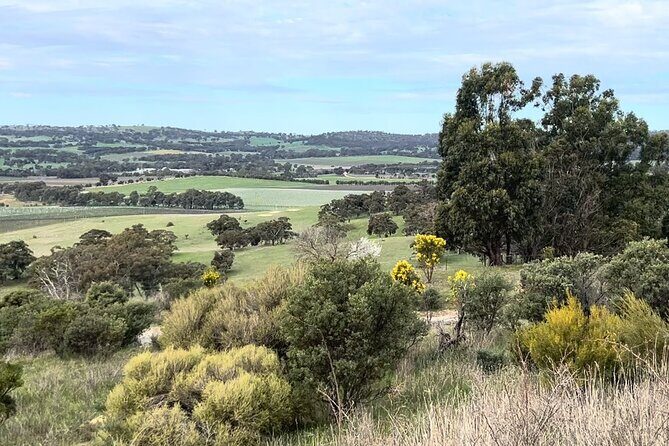 Experience SA Clare Valley Private Wine Tour - The Itinerary in Detail