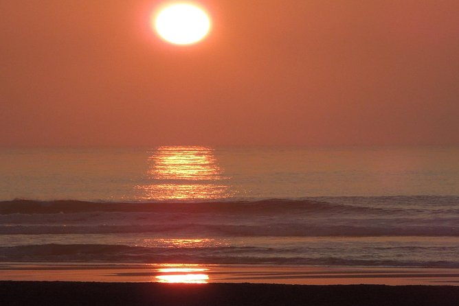 experience-san-francisco-at-night-in-a-luxury-suv