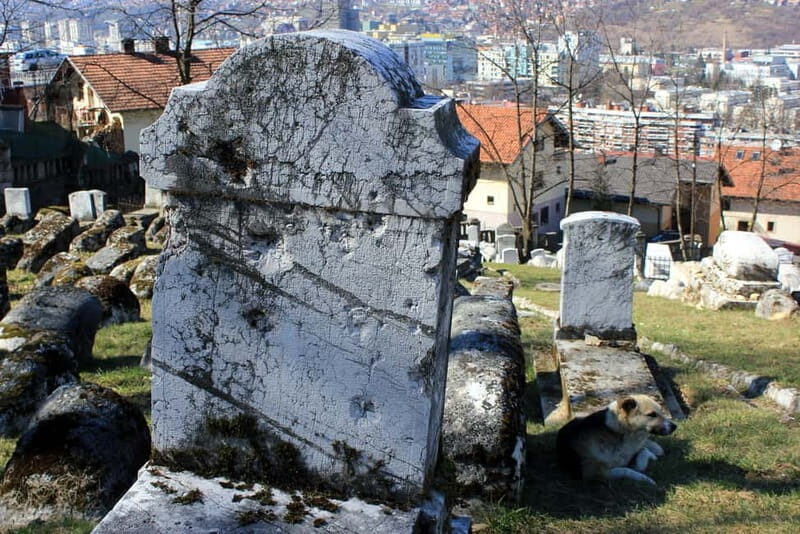 Experience Sarajevo: Spiritual Resistance during the Siege - The Sum Up