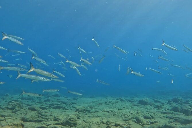 experience-scuba-diving-in-heraklion-crete