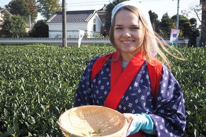 experience-seasonal-green-tea-picking-in-sayama-and-nostalgic-walk-in-kawagoe