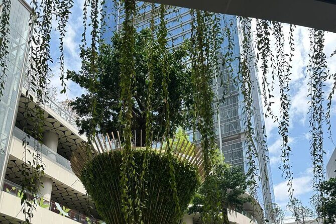 Experience Shenzhen in a Cultural Tour Beyond Tech - Exploring Shenzhen Beyond Its Technological Fame