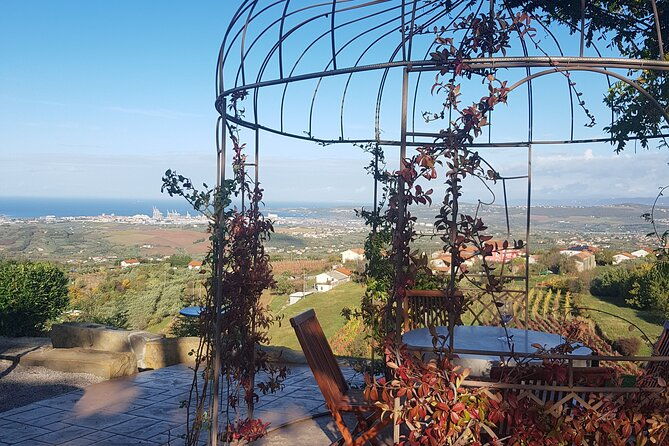 experience-slovenian-coast-line-with-wine-tasting-from-trieste